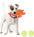 Chew Toys for Aggressive Chewers, Durable Rubber TPR Turtle Shape Dog Toys with 2 Tennis Balls (Orange)