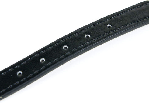 Spiked Dog Collar / Cat Collar, Studded Vegan Leather Pet Collar for Dogs and Cats (L, Black)