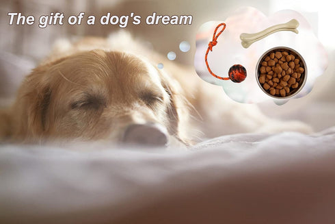 2Pcs Dog Training Ball on Rope, Exercise and Reward Toy for Chew Training, Tug Toy for Dogs