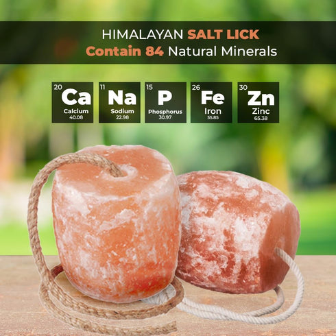 Generic 2 lbs Pack 6 Himalayan Salt Lick Each | of | Licking Salt for Horses | Deer Salt Lick Block | Block Salt on
