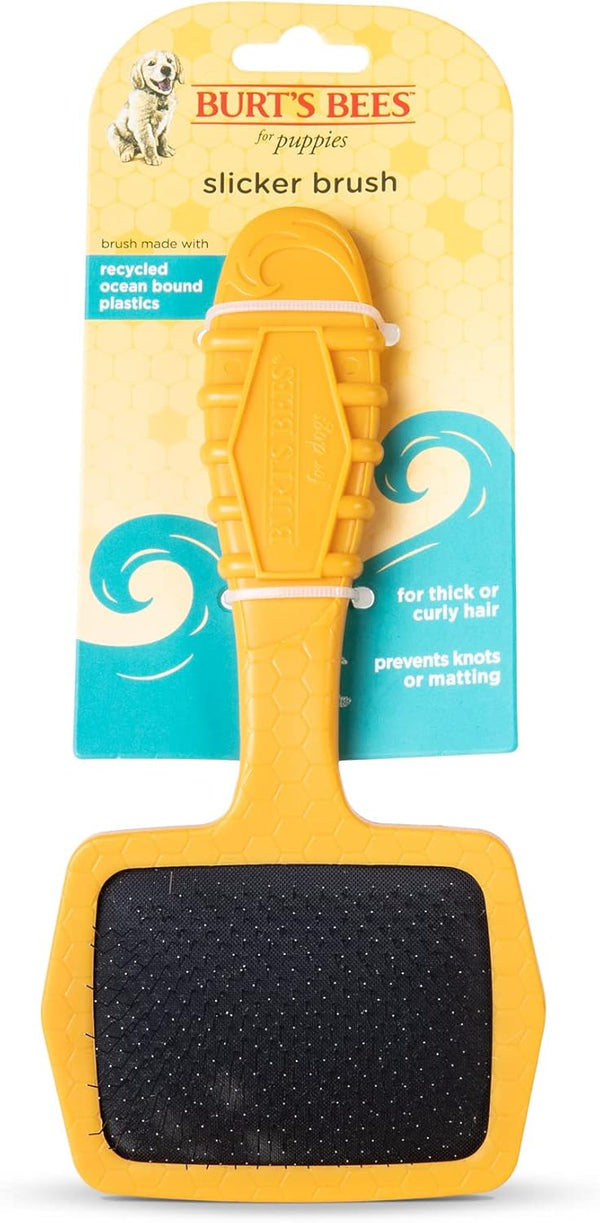 Burt’s Bees for Pets Small Slicker Brush for Dogs with Thick Curly Hair, Recycled Handle