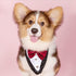 Dog Tuxedo Collar with Bowtie - Adjustable Formal Neckerchief for Wedding Party for Pets, Red