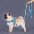 Didog 6FT Reflective Nylon Dog Leash, Durable 1” Wide Walking Pet Lead with Soft Padded Handle & Poop Bag Dispenser
