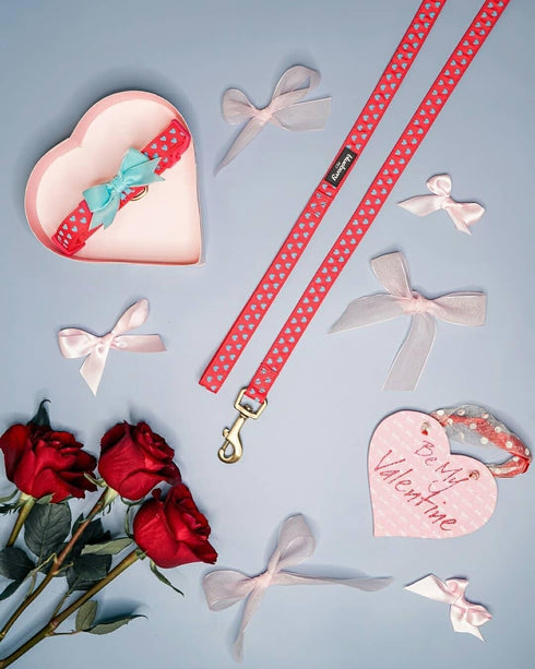 Blueberry Pet Valentine's Day Dog Leash - Velvety Soft-Touch Heart Flocking Lead for Medium Dogs, Lust Red, 5 ft x 3/4"