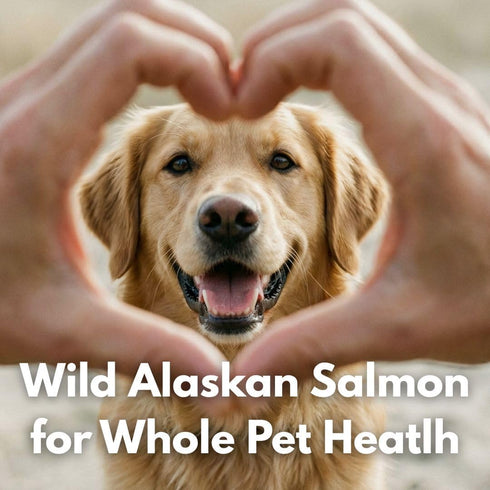 Hook Point Fisheries 3, Freeze Dried Sockeye Salmon Pet Treats for Dogs & Cats, Human Grade, Fisherman Direct, Premium