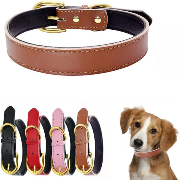 Leather Collar for Small Dogs, Adjustable Genuine Cowhide with Gold Buckle, Soft Touch Padded for XS Medium Large Dogs,