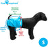 (3 Paw Inspired Washable Reusable Dog Diapers Female, Cloth Dog Diapers, Dogs in Heat, Dog Incontinence (Assorted