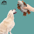 Hollypet Fluffy Dog Toys, Squeaky Plush Toys for All Breeds, Stuffed Chew Toy for Small, Medium, Large Dogs (Dark Gray)