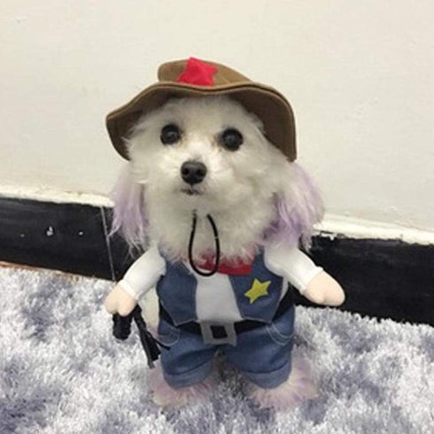 Halloween Costume for Cat and Small Dog, Funny Cowboy Hat Suit, Size L