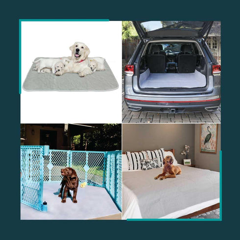 60" 60" (Pack 1) rocket & rex Premium XL Non-Slip Washable Pee Pad for Dogs, Waterproof & Reusable Puppy Pad for Potty