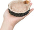 3 Pack Reptile Water Dish Food Bowls, Hermit Crab Food Dish, Bearded Dragon Water Bowl, Suitable for Hermit Crab Bearded Dragon Lizard Gecko Tortoise Turtle Frog Leopard Crested Gecko