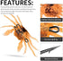 Viodmss 6pcs 3D Cranka Crab Lure Crab Bait Simulated Crab Soft Lure with Double Hooks for Fishing Accessories Tools