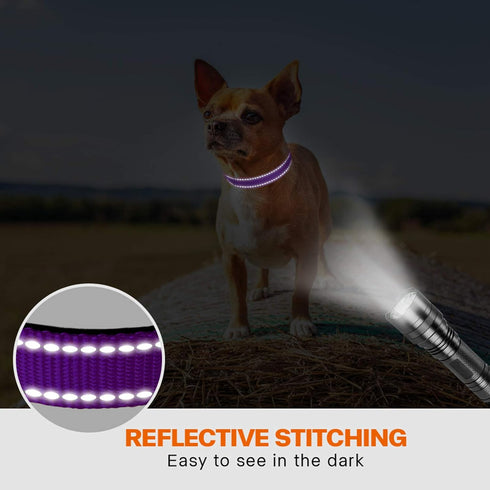 Taglory Reflective Dog Collar with Safety Locking Buckle, Adjustable Nylon for Puppy Dogs, XS, Purple