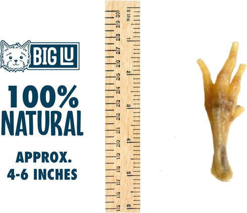 Big Lu – Nail-Free Chicken Feet Dog Chews - 100% Organic, Long Lasting, Rich in Glucosamine (60 Chews)