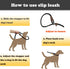 Adjustable Heavy Duty Dog Leash Slip Lead and Snap Hook, 1/2" x 6 FT Braided Rope for Large Medium Dogs