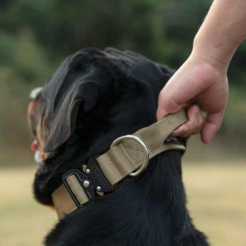 TSPRO Premium Tactical Dog Collar with Handle and Heavy Duty Quick-Release Metal Buckle for Medium to Large Dogs (Green