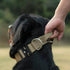 TSPRO Premium Tactical Dog Collar with Handle and Heavy Duty Quick-Release Metal Buckle for Medium to Large Dogs (Green