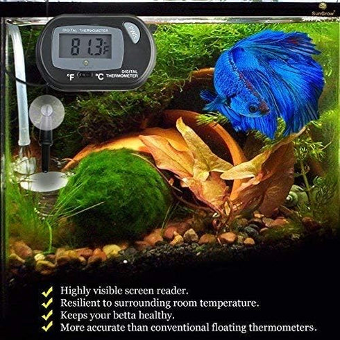 SunGrow Digital Betta Thermometer for Tropical Aquarium Fish, Black Color, 1 pc with Suction Cups and Battery
