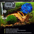 SunGrow Digital Betta Thermometer for Tropical Aquarium Fish, Black Color, 1 pc with Suction Cups and Battery