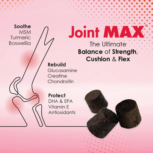 PHS Joint MAX Triple Strength Soft Chews for Dogs, 30 Chews - Glucosamine, Chondroitin, Omega 3