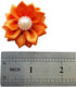 PET SHOW 10 Pairs Flower Small Dogs Hair Bows - 10 Colors with French Barrette Hair Clips