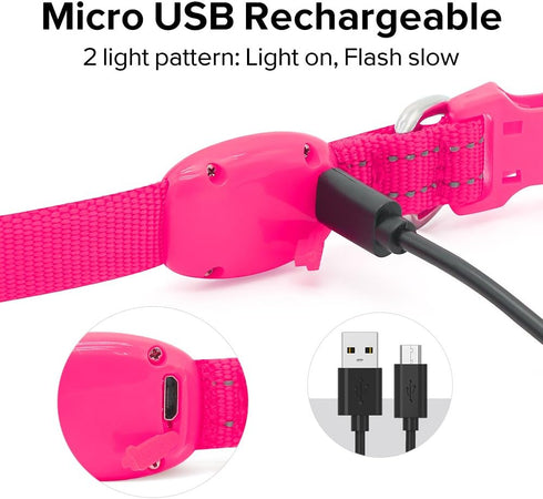 BSEEN LED Dog Collar Light - USB Rechargeable Glow in The Dark Puppy Collar - Safety Dog Lights for Night Walking -