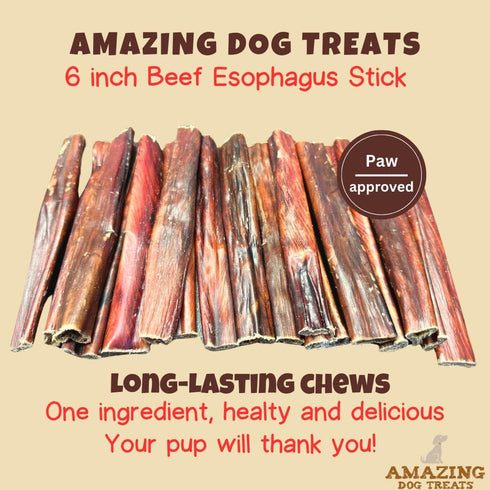 Amazing Dog Treats Gullet Sticks for Dogs - 6 Inch, 40 Count - Beef Gullet Jerky Chews for Dogs