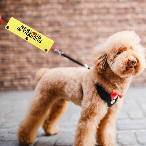 JXGZSO in Training Nervous Anxious Dog Leash Sleeve, Dot Not Pet Working Dog Leash Sleeve Service Dog Leash Wrap