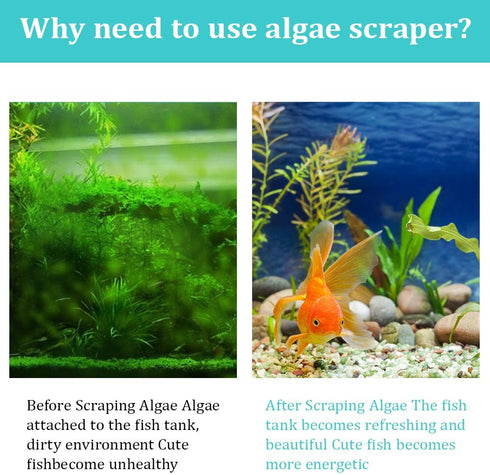 ZRDR Stainless Steel Algae Scraper, Aquarium Cleaning Tool for Glass Tanks, Adjustable Length, Durable
