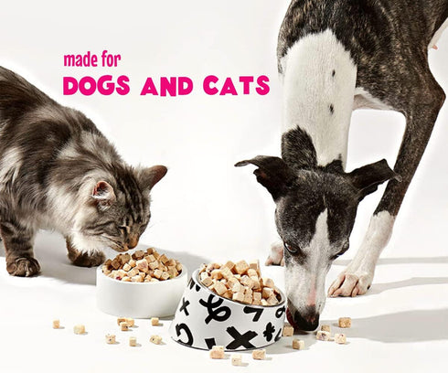 Freeze-Dried Single Ingredient Dog Treats (Egg Yolk, 5oz)