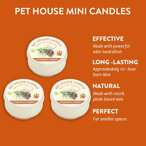 One Fur All Pet House Mini Candles, Natural Soy Wax Scented Candles for Pet Odor, Evergreen Forest Pack of 3