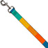 Buckle-Down Pet Leash, Dog Leash, Summer Essentials Color Block 2, 4 Feet Long 1.0 Inch Wide