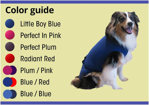 Secures Male Dog Diapers or Female Dog Diapers, Wrap Around Legs for Superior Fit, Fits LL, Blue