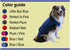 Disposable Dog Diapers Keeper for Male and Female Dogs Wrap Around Legs for Superior Fit by SurgiSnuggly