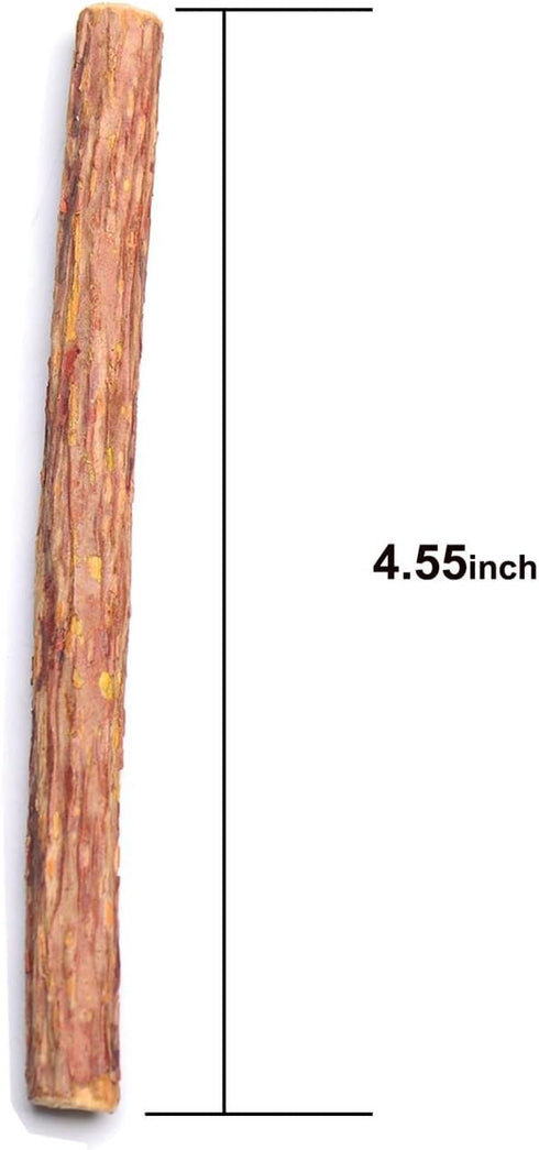 Silvervine Sticks Cat Toys - Natural Matatabi Catnip Chew Sticks for Teeth Cleaning (26 PCS)