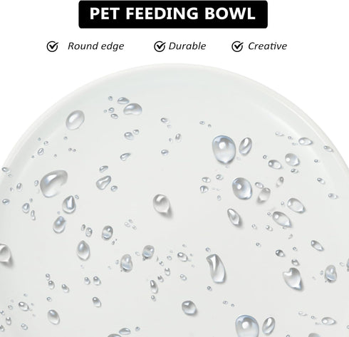 Ceramic Cat Bowls, Shallow Dog Bowls, Whisker Stress Cat Dishes, Stainless Steel White Puppy Food Ceramics