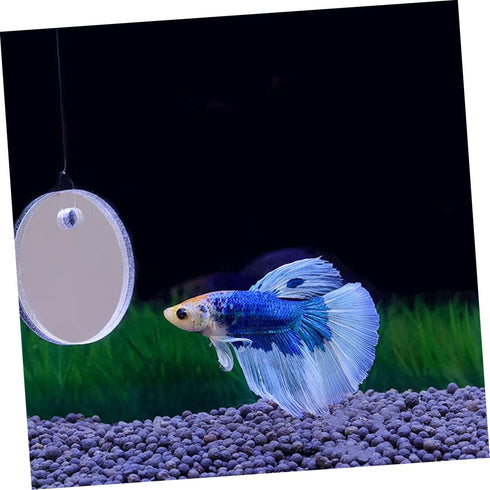 Betta Training Mirror Set, Decorative Fish Tank Toys, Plastic Round Sports Mirror for Betta Tank