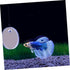 Betta Training Mirror Set, Decorative Fish Tank Toys, Plastic Round Sports Mirror for Betta Tank