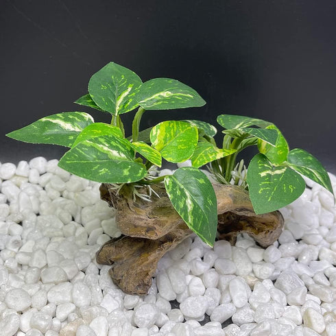 Smoothedo-Pets Aquarium Decor Ornaments, Betta Silk Leaf Pad Hammock & Artificial Driftwood Cave for Goldfish Bowl