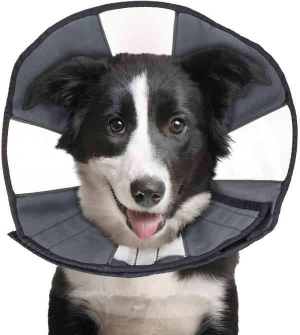 ZenPet Pet Recovery Cone E-Collar for Dogs and Cats - Comfortable Soft Collar, Adjustable for Secure Custom Fit (Large)