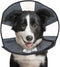 ZenPet Pet Recovery Cone E-Collar for Dogs and Cats - Comfortable Soft Collar, Adjustable for Secure Custom Fit (Large)
