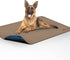 Paw Inspired Washable Pee Pads for Dogs, Leakproof, Non-Slip Reusable Puppy Pads