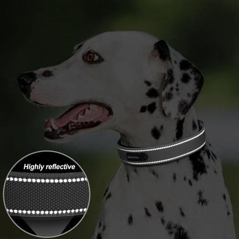 PetiFine Neoprene Padded Dog Collar, Heavy Duty Comfort Collar with Durable Metal Buckle for Small Medium Large Dogs