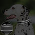 PetiFine Neoprene Padded Dog Collar, Heavy Duty Comfort Collar with Durable Metal Buckle for Small Medium Large Dogs