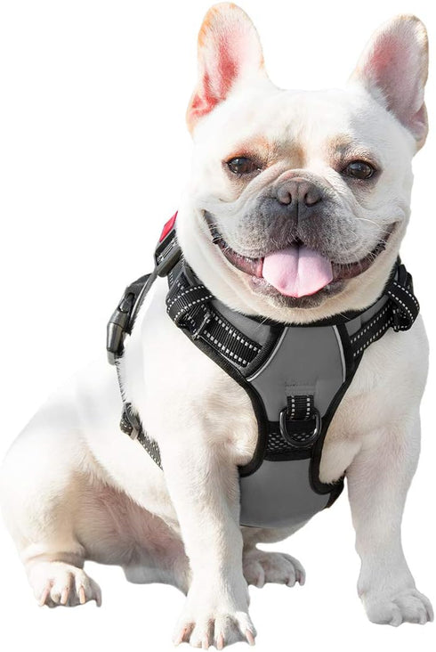 PHOEPET No Pull Dog Harness, Medium Reflective Front Clip Vest with Handle, Adjustable 2 Metal Rings