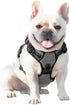 PHOEPET No Pull Dog Harness, Medium Reflective Front Clip Vest with Handle, Adjustable 2 Metal Rings