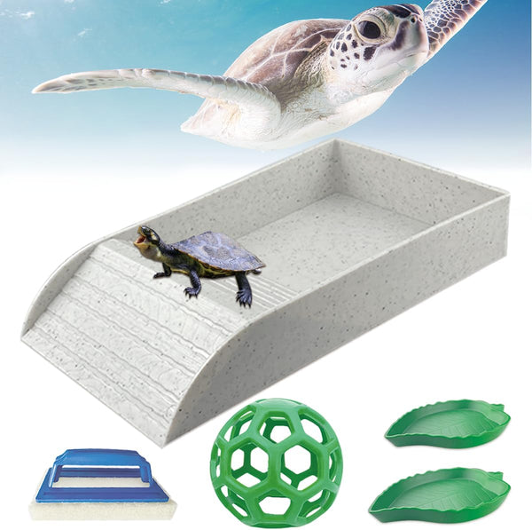 GSYUWIH 5 Pcs Tortoise Water Dish Set,Gray Tortoise Water Dish with Ramp and