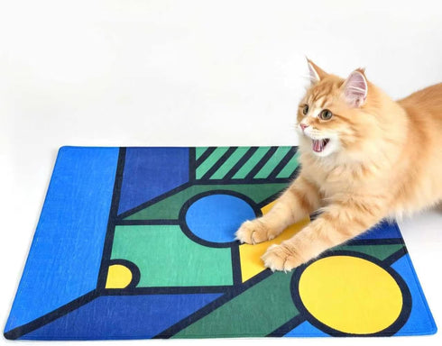 UTEE Cat Rug for Indoor Cats, Non-Slip Pet Mat 24x32, Belgian Loop