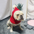 Lifeunion Funny Christmas Dog Hat Costume - Red Knit Snood Beanie with Pompon, Warm Winter Headwear (X-Small)