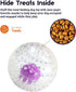 Petstages Nubbiez Treat and Squeak Ball Dog Toy